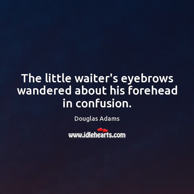 The little waiter’s eyebrows wandered about his forehead in confusion. Douglas Adams Picture Quote