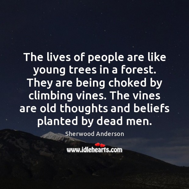 The lives of people are like young trees in a forest. They Image