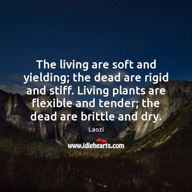 The living are soft and yielding; the dead are rigid and stiff. Laozi Picture Quote