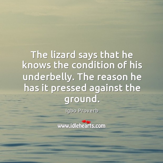 The lizard says that he knows the condition of his underbelly. Igbo Proverbs Image