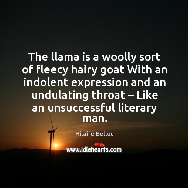 The llama is a woolly sort of fleecy hairy goat with an indolent expression and an undulating throat Hilaire Belloc Picture Quote
