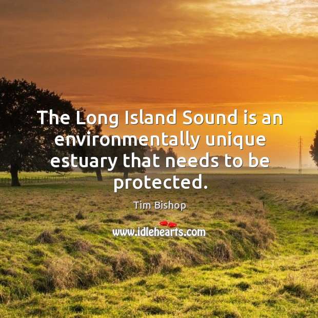 The long island sound is an environmentally unique estuary that needs to be protected. Tim Bishop Picture Quote