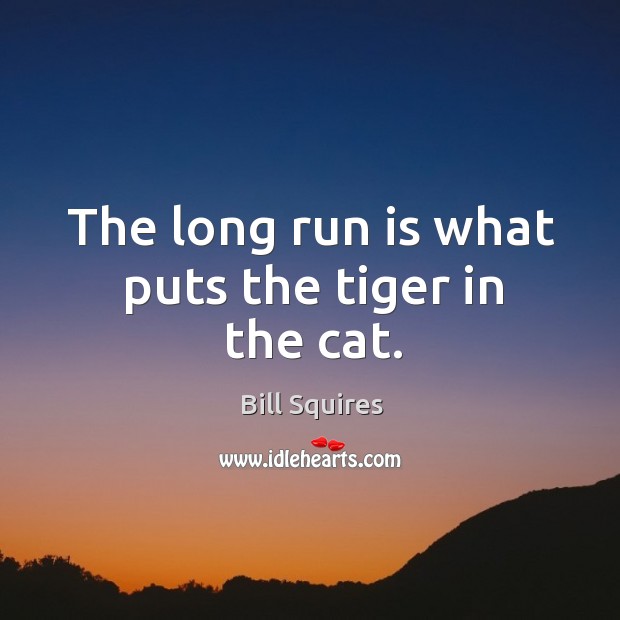 The long run is what puts the tiger in the cat. Bill Squires Picture Quote