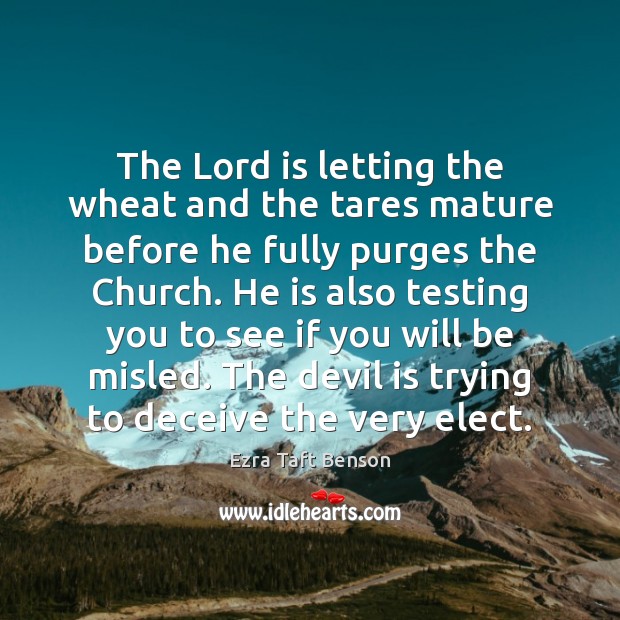 The Lord is letting the wheat and the tares mature before he Image