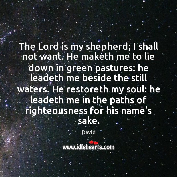 The Lord is my shepherd; I shall not want. He maketh me David Picture Quote