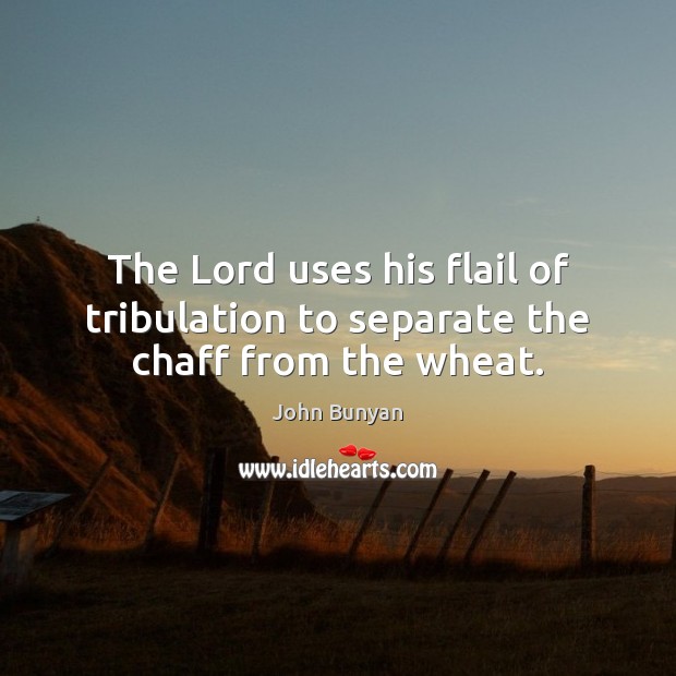 The Lord uses his flail of tribulation to separate the chaff from the wheat. John Bunyan Picture Quote