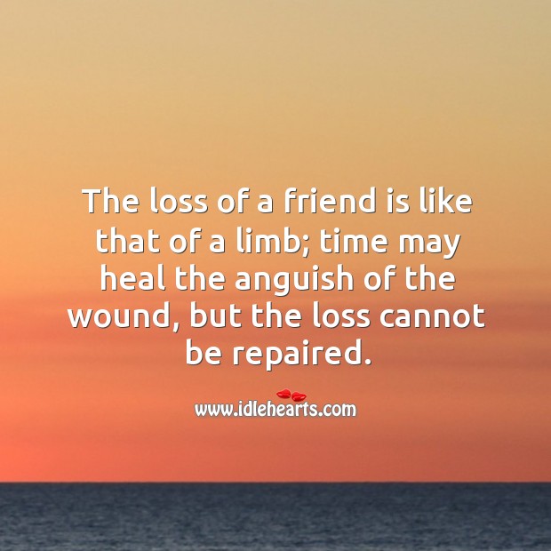 The loss of a friend is like that of a limb; time may heal the anguish of the wound, but the loss cannot be repaired. Image
