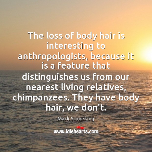 The loss of body hair is interesting to anthropologists, because it is Mark Stoneking Picture Quote