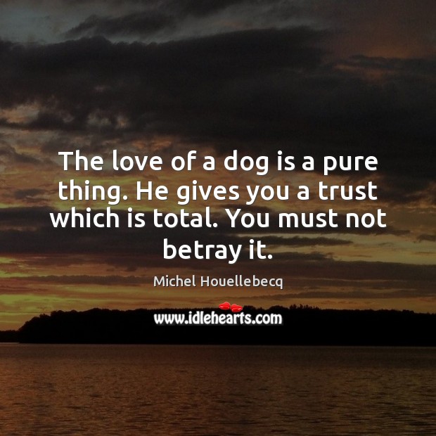 The love of a dog is a pure thing. He gives you Image