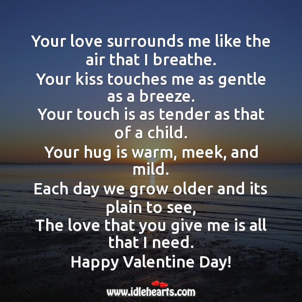 The love that you give me is all that I need Valentine’s Day Messages Image