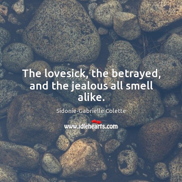 The lovesick, the betrayed, and the jealous all smell alike. Sidonie-Gabrielle Colette Picture Quote