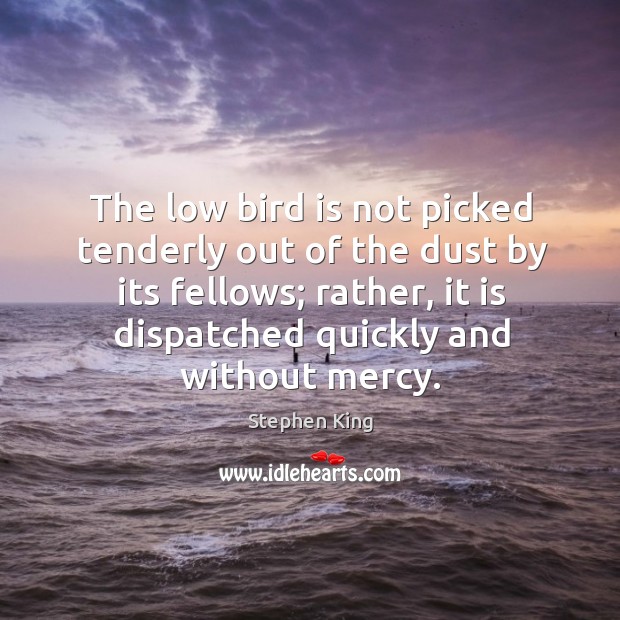 The low bird is not picked tenderly out of the dust by Image