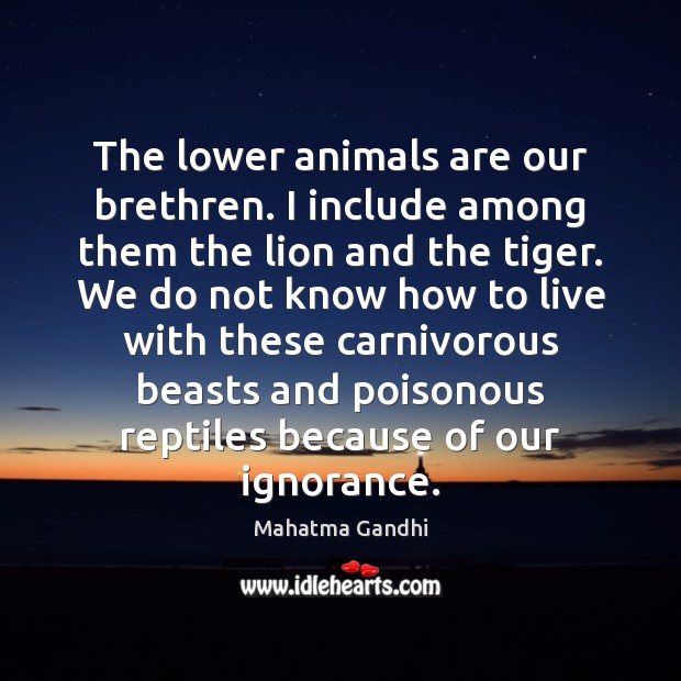 The lower animals are our brethren. I include among them the lion Image