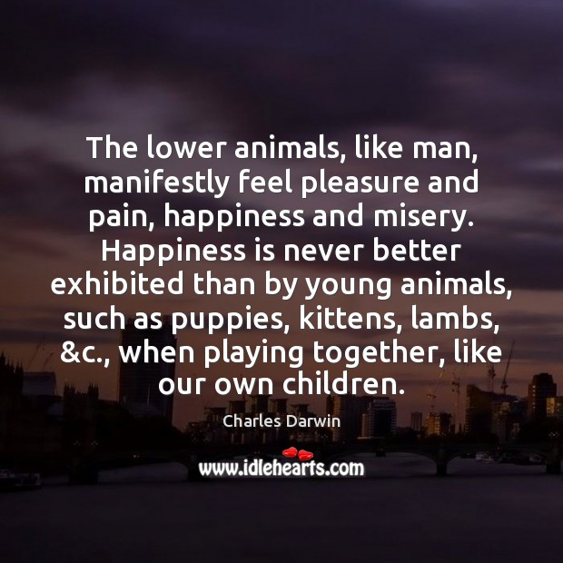 The lower animals, like man, manifestly feel pleasure and pain, happiness and Happiness Quotes Image