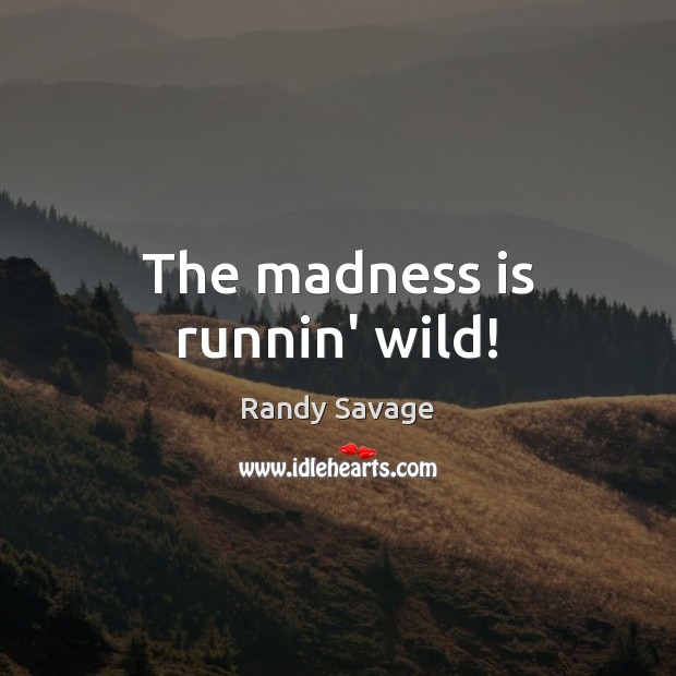 The madness is runnin’ wild! Randy Savage Picture Quote