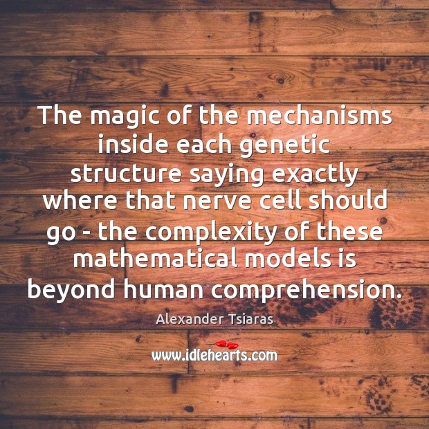 The magic of the mechanisms inside each genetic structure saying exactly where Alexander Tsiaras Picture Quote