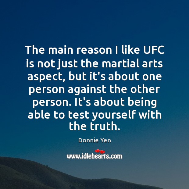 The main reason I like UFC is not just the martial arts Donnie Yen Picture Quote