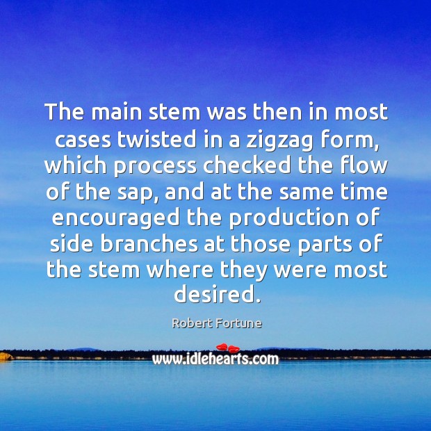 The main stem was then in most cases twisted in a zigzag form Robert Fortune Picture Quote