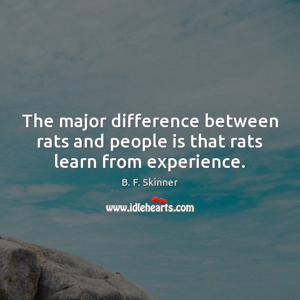 The major difference between rats and people is that rats learn from experience. B. F. Skinner Picture Quote