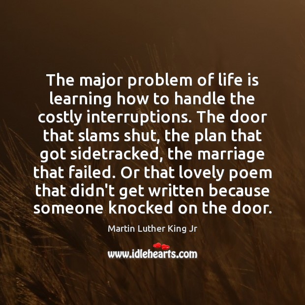 The major problem of life is learning how to handle the costly Martin Luther King Jr Picture Quote