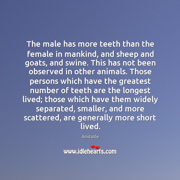 The male has more teeth than the female in mankind, and sheep Aristotle Picture Quote