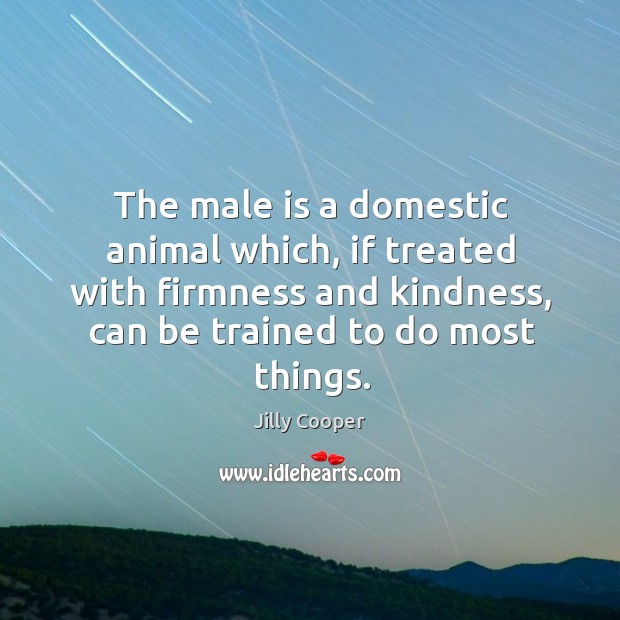 The male is a domestic animal which, if treated with firmness and kindness, can be trained to do most things. Jilly Cooper Picture Quote