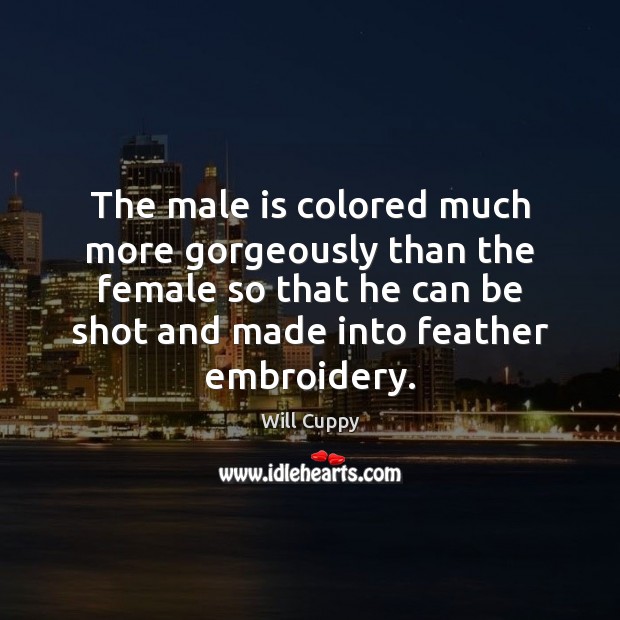 The male is colored much more gorgeously than the female so that Will Cuppy Picture Quote