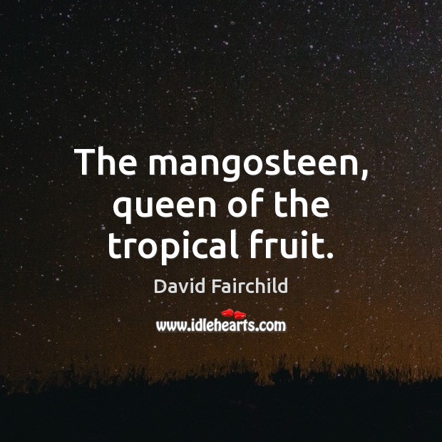 The mangosteen, queen of the tropical fruit. David Fairchild Picture Quote