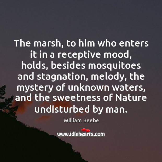 The marsh, to him who enters it in a receptive mood, holds, Image