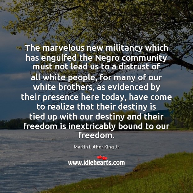 The marvelous new militancy which has engulfed the Negro community must not Martin Luther King Jr Picture Quote