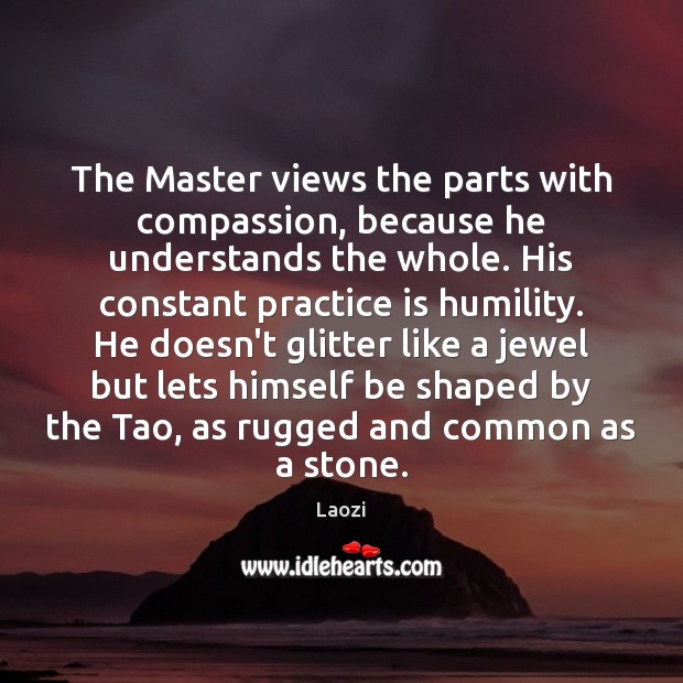 The Master views the parts with compassion, because he understands the whole. Laozi Picture Quote
