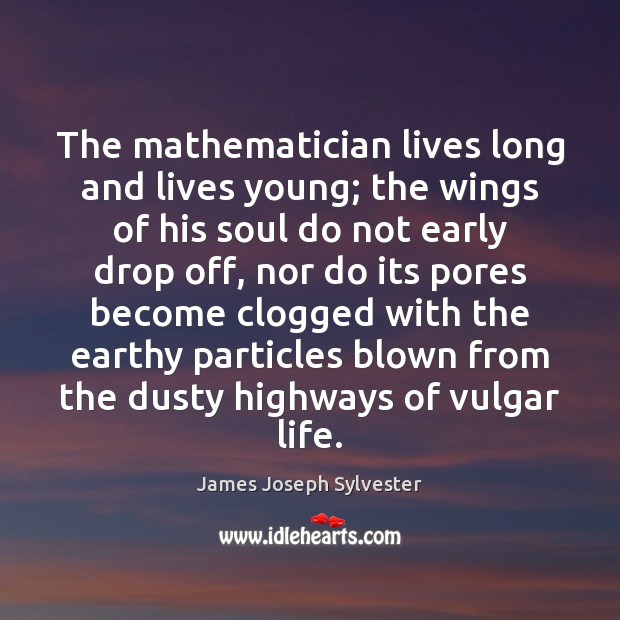 The mathematician lives long and lives young; the wings of his soul James Joseph Sylvester Picture Quote