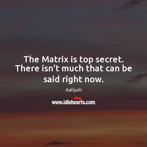 The Matrix is top secret. There isn’t much that can be said right now. Aaliyah Picture Quote