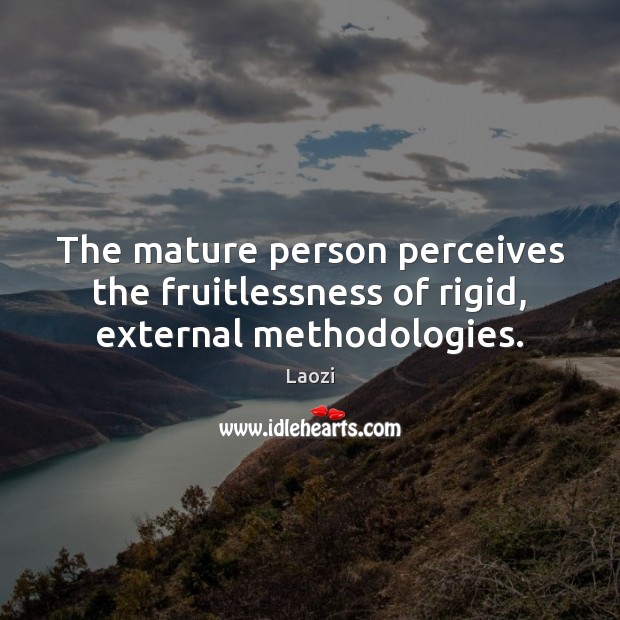 The mature person perceives the fruitlessness of rigid, external methodologies. Laozi Picture Quote