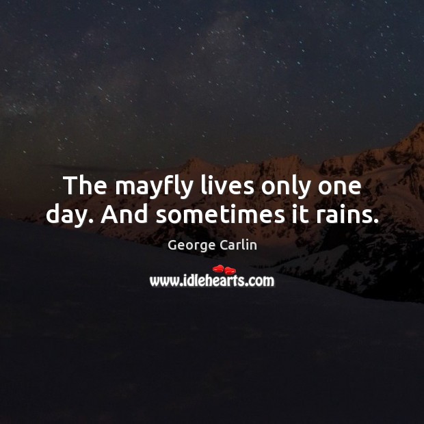 The mayfly lives only one day. And sometimes it rains. George Carlin Picture Quote