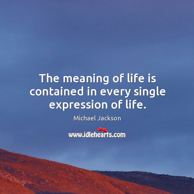 The meaning of life is contained in every single expression of life. Michael Jackson Picture Quote