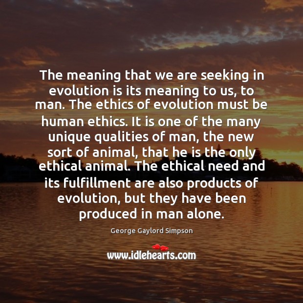 The meaning that we are seeking in evolution is its meaning to Image