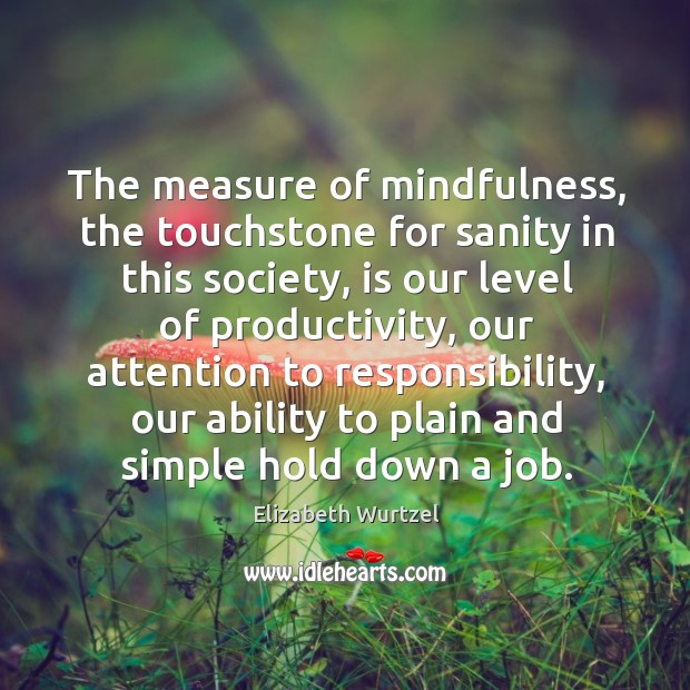 The measure of mindfulness, the touchstone for sanity in this society, is Elizabeth Wurtzel Picture Quote
