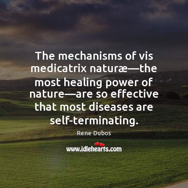 The mechanisms of vis medicatrix naturæ—the most healing power of nature— Rene Dubos Picture Quote