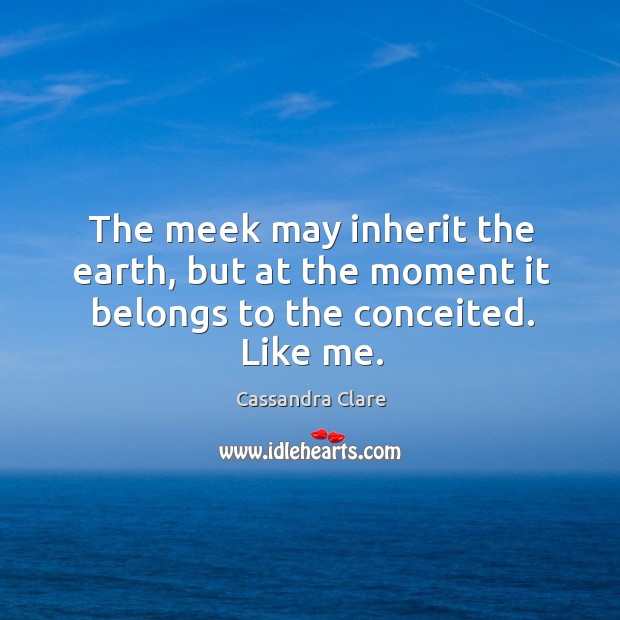 The meek may inherit the earth, but at the moment it belongs to the conceited. Like me. Image