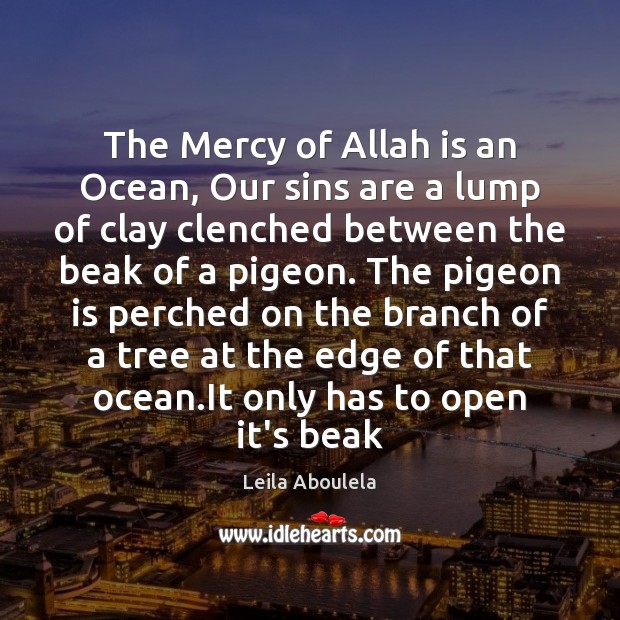 The Mercy of Allah is an Ocean, Our sins are a lump Leila Aboulela Picture Quote