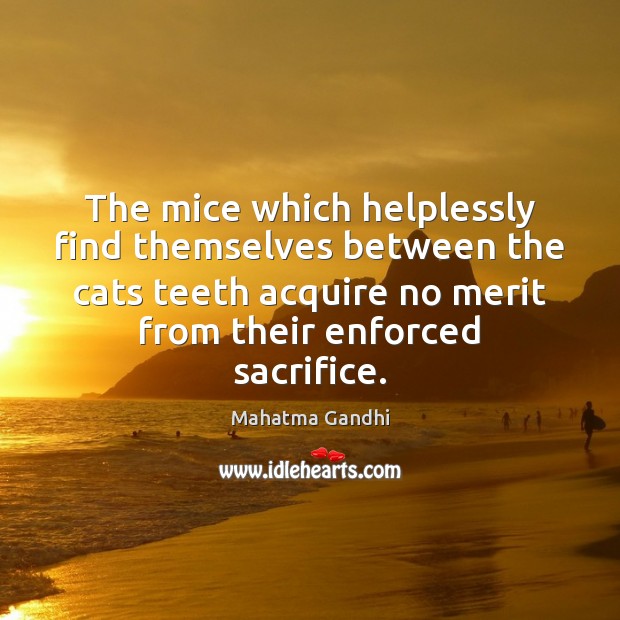 The mice which helplessly find themselves between the cats teeth acquire no Image