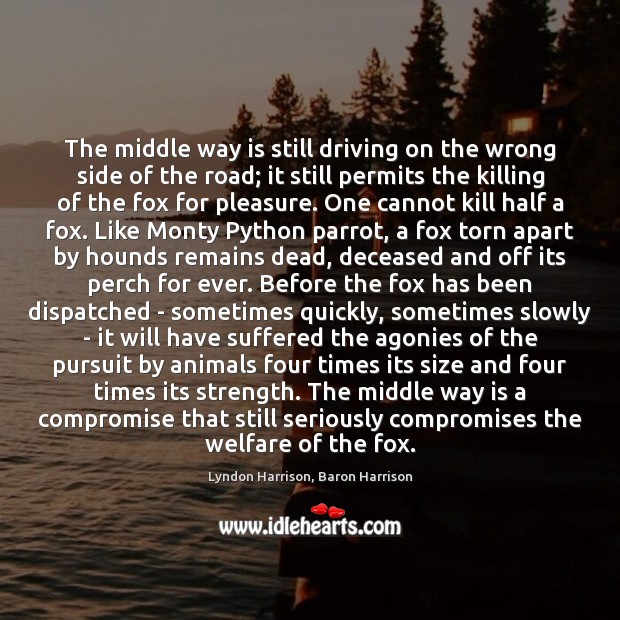 The middle way is still driving on the wrong side of the Lyndon Harrison, Baron Harrison Picture Quote