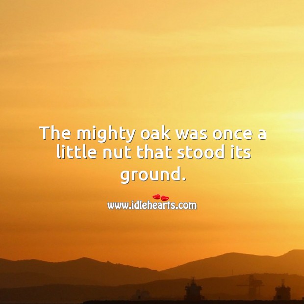 The mighty oak was once a little nut that stood its ground. Image