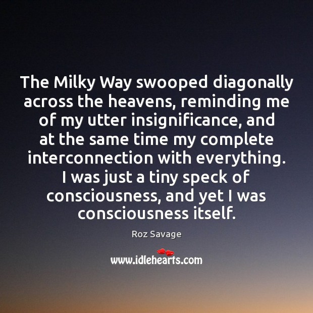 The Milky Way swooped diagonally across the heavens, reminding me of my Roz Savage Picture Quote