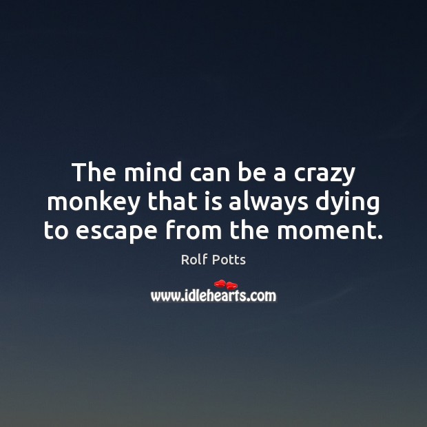 The mind can be a crazy monkey that is always dying to escape from the moment. Rolf Potts Picture Quote