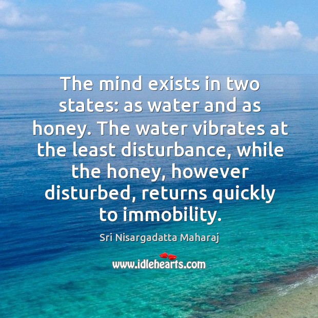 The mind exists in two states: as water and as honey. The Image