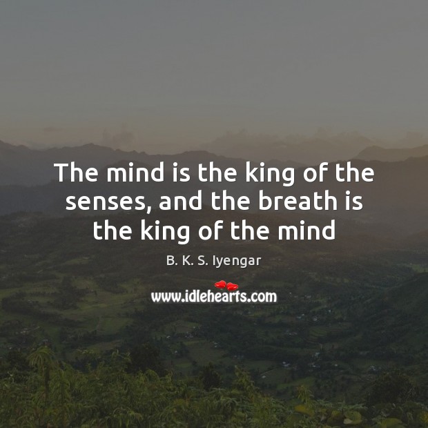 The mind is the king of the senses, and the breath is the king of the mind B. K. S. Iyengar Picture Quote