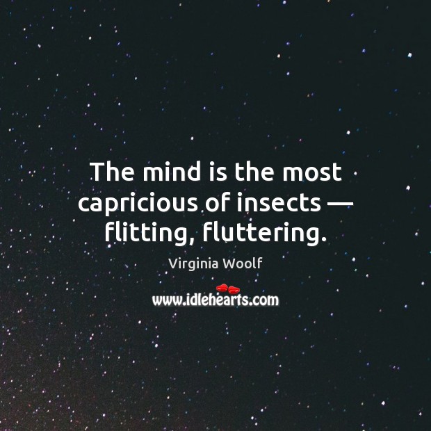 The mind is the most capricious of insects — flitting, fluttering. Image