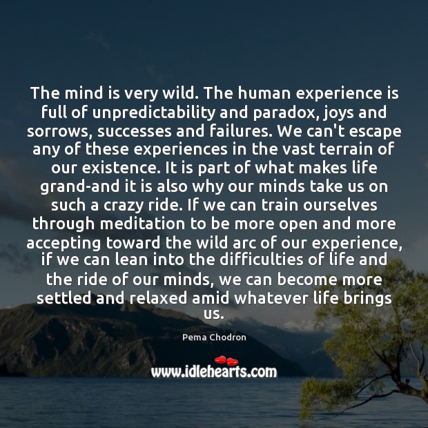 The mind is very wild. The human experience is full of unpredictability Pema Chodron Picture Quote